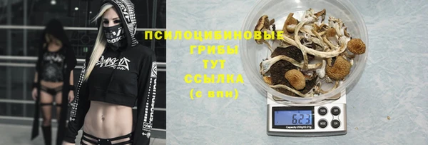 Альфа ПВП Красноперекопск
